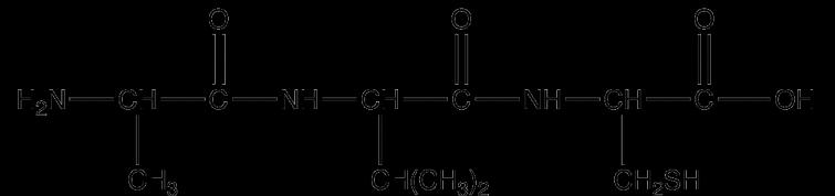 proteinů tvorba peptidové vazby mezi -NH 2 skupinou na uhlíku α jedné aminokyseliny a -COOH