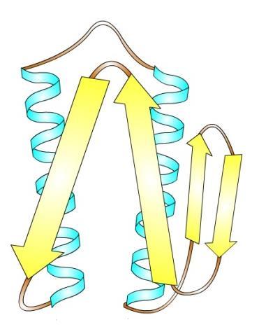 Terciální struktura proteinů prostorové trojrozměrné uspořádání polypeptidového řetězce