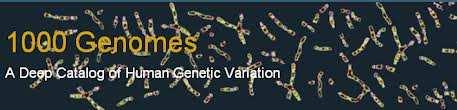 Problém s CNV segmenty DNA (~1 kb), které v populaci mají