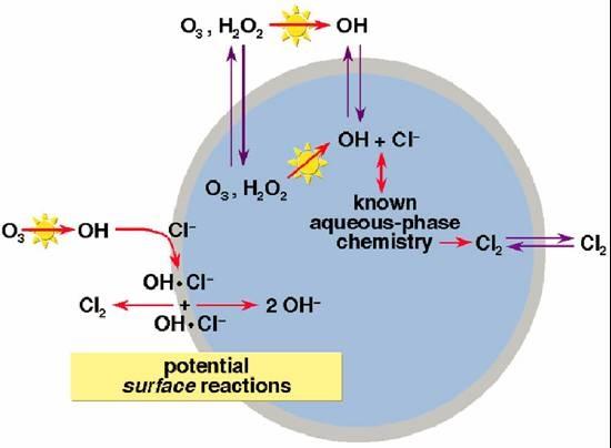 One of the first heterogenous tropospheric reaction, which has been elucidated at a detailed molecular level, is the production of molecular chlorine from aqueous sea salt aerosols in the presence of