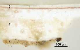 2. Ukřižování ze sv. Barbory, O 577. Fotografie 2017 Národní galerie v Praze. 3a. 3b. 3c. 3. Na stratigrafii mikro-vzorků viditelná linka kresby: a) červená kresba v malbě roušky Krista (Kladení Krista do hrobu).