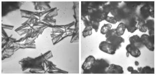 MC230P75 MC230P83 Vysokoúčinná Hmotnostní kapalinová detekce chromatografie v separačních s hmotnostní metodách, detekcí, 2018 2007/2008