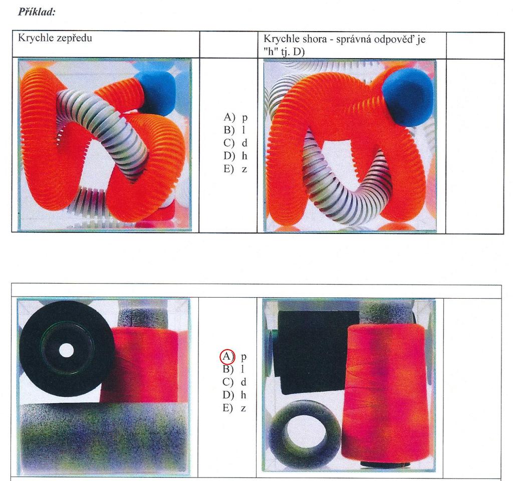 1. Test: Prostorové struktury Každá následující úloha se skládá vždy ze dvou vyobrazení stejné průhledné krychle. V krychli jsou umístěny různé předměty.
