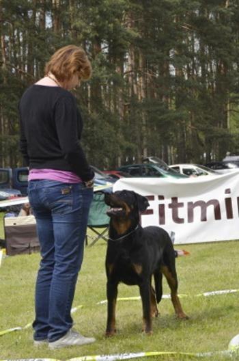 Výborný 1, CAC FENY Třída veteránů 60.