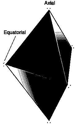 Trigonální bipyramida TBP má dva různé typy vrcholů = dva chemicky odlišné typy substituentů, pozic