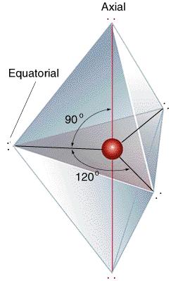 Trigonální bipyramida TBP má dva různé typy vrcholů = dva chemicky odlišné typy substituentů, pozic