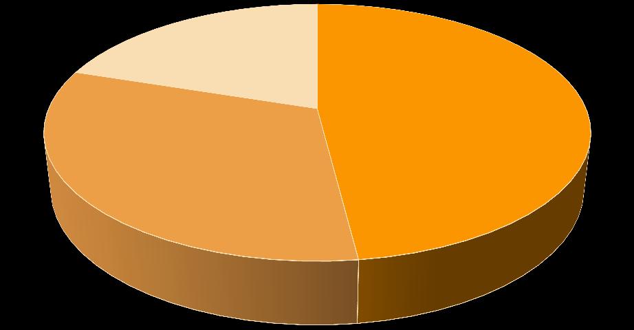 Slovenský jazyk a literatúra Obsahové zameranie testu 20,0 % 48,0 % 32,0 %