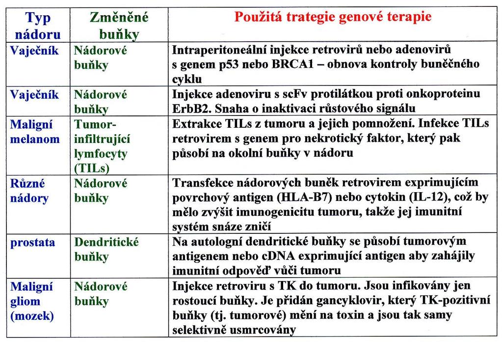 Možnosti léčby nádorů pomocí genové