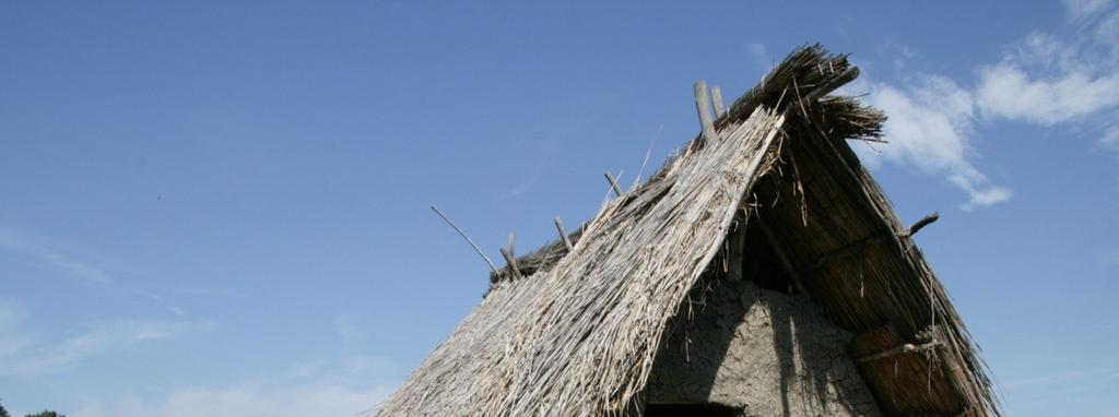 POHANSKO U BŘECLAVI (LOWENTINGRAD) - zkoumaná plocha