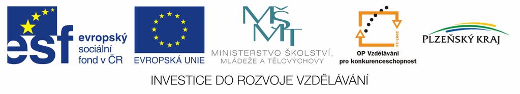 Rozvíjení pedagogicko-psychologických kompetencí učitelů praktického vyučování a odborného výcviku. CZ.1.07/1.3.