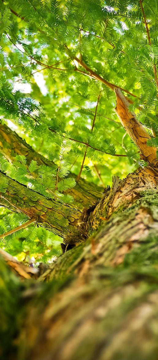 Ekologické produkty ŠETŘÍ PŘÍRODU Ekologie se čím dál víc týká našich životů a díky tomu jsme svědky zvýšeného zájmu o ekologické výrobky a technologie.