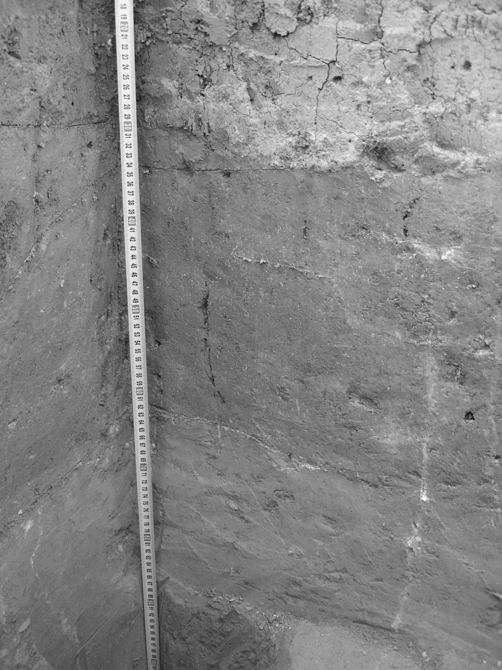 Paleolit a mezolit Paleolithic and Mesolithic Paläolithikum und Mesolithikum BRNO (K. Ú. LÍŠEŇ, OKR. BRNO-MĚSTO) Hrubé podsedky a Nad Výhonem. Bohunicien a aurignacien. Sídliště.