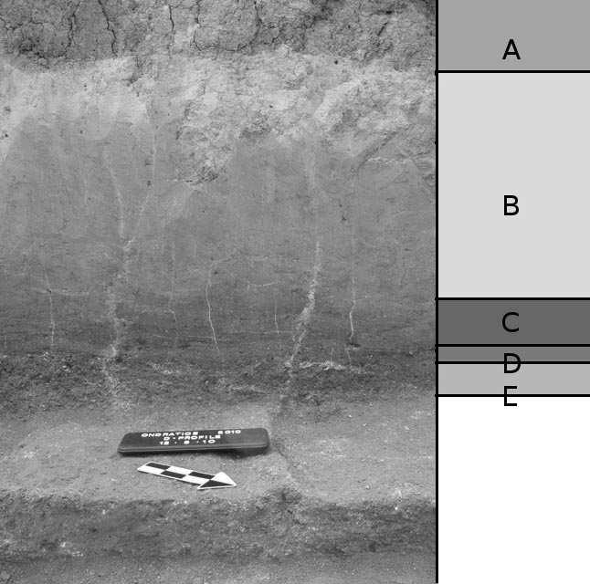 Zprávy o výzkumech za rok 2010: Paleolit a mezolit stone artefacts are still waiting detailed analysis. Most are tiny chert flakes. A total amount of 27 artefacts has been found in situ.