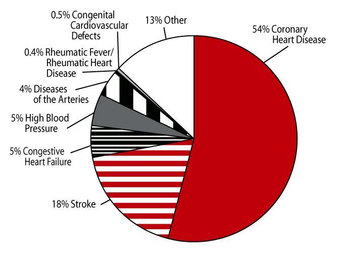 Percento príčin úmrtí na cievne ochorenia (AHA) 50 % pacientov po CMP rôzny stupeň invalidizácie nepriame náklady na liečbu a