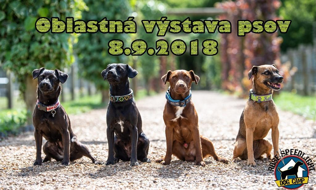 FÉDÉRATION CYNOLOGIQUE INTERNATIONALE SLOVENSKÁ KYNOLOGICKÁ JEDNOTA SLOVENSKÝ POĽOVNÍCKY ZVÄZ OKRESNÁ ORGANIZÁCIA SPZ PEZINOK ROSE