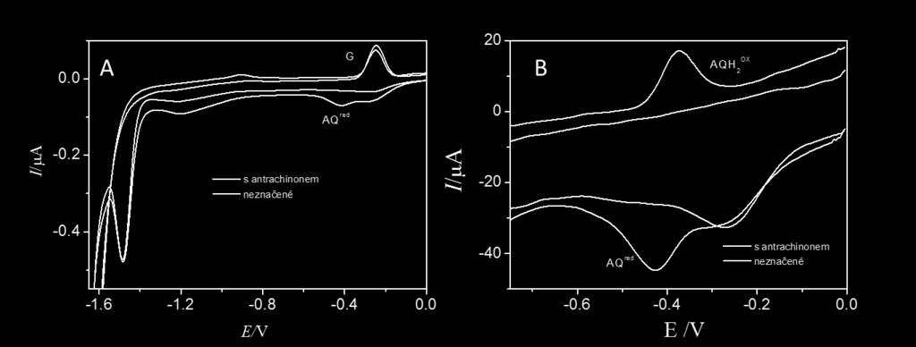V případě CV na HMDE jsou v cyklickém voltamogramu neznačených ODN měřeném při počátečním potenciálu 0 V a potenciálu bodu obratu -1,85 V patrné dva signály příslušející elektrochemickým reakcím bází.