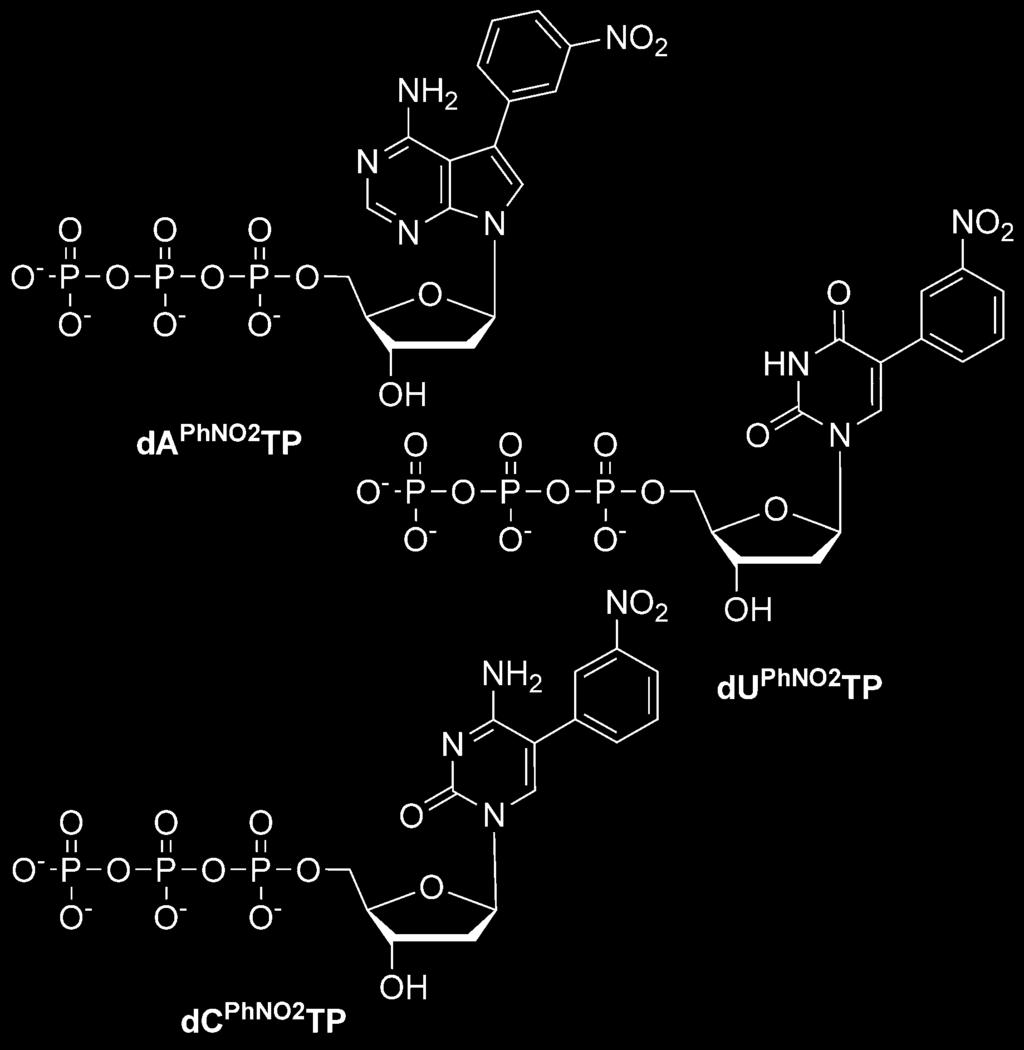 Anthraquinone as a Redox Label for DNA FULL PAPER Scheme 3. Structures of NO 2 -modified dntps [6] used in this study.