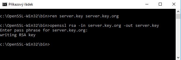 ren server.key server.key.org openssl rsa -in server.key.org -out server.