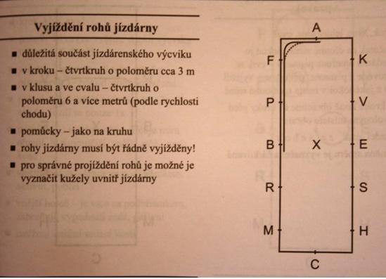 V kruhu změnit směr cvik se provádí na velkém kruhu, první