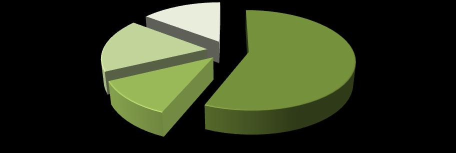 9: Finanční náklady účtované pojišťovnám NNH Kód vyúčtování vyšetření/ RF Vyúčtovaná částka body/částka PET vyšetření 47301 /02087 16522/22 282 standardní 89713 5063/4556,7 protokol MR rozšířený