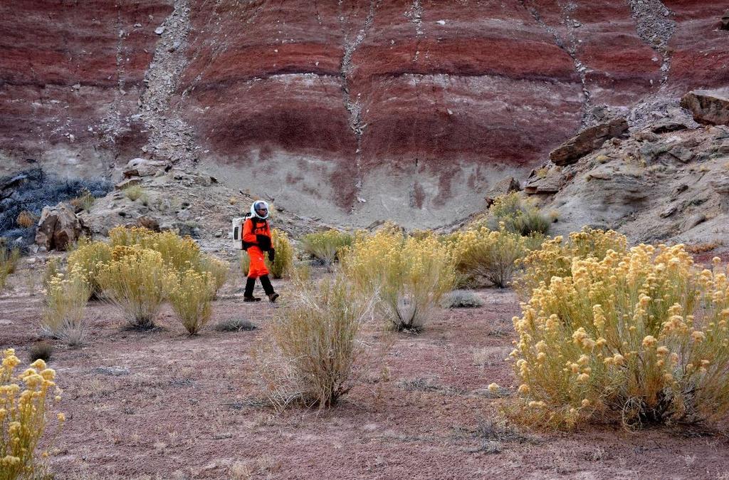 (2016): The "Martian" flora: new collections of vascular plants, lichens, fungi,