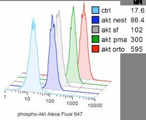 VALIDACE PROTILÁTEK nízkomolekulární inhibitory fosforylace signálních molekul Merck Calbiochem Inhibitor SourceBook (http://www.