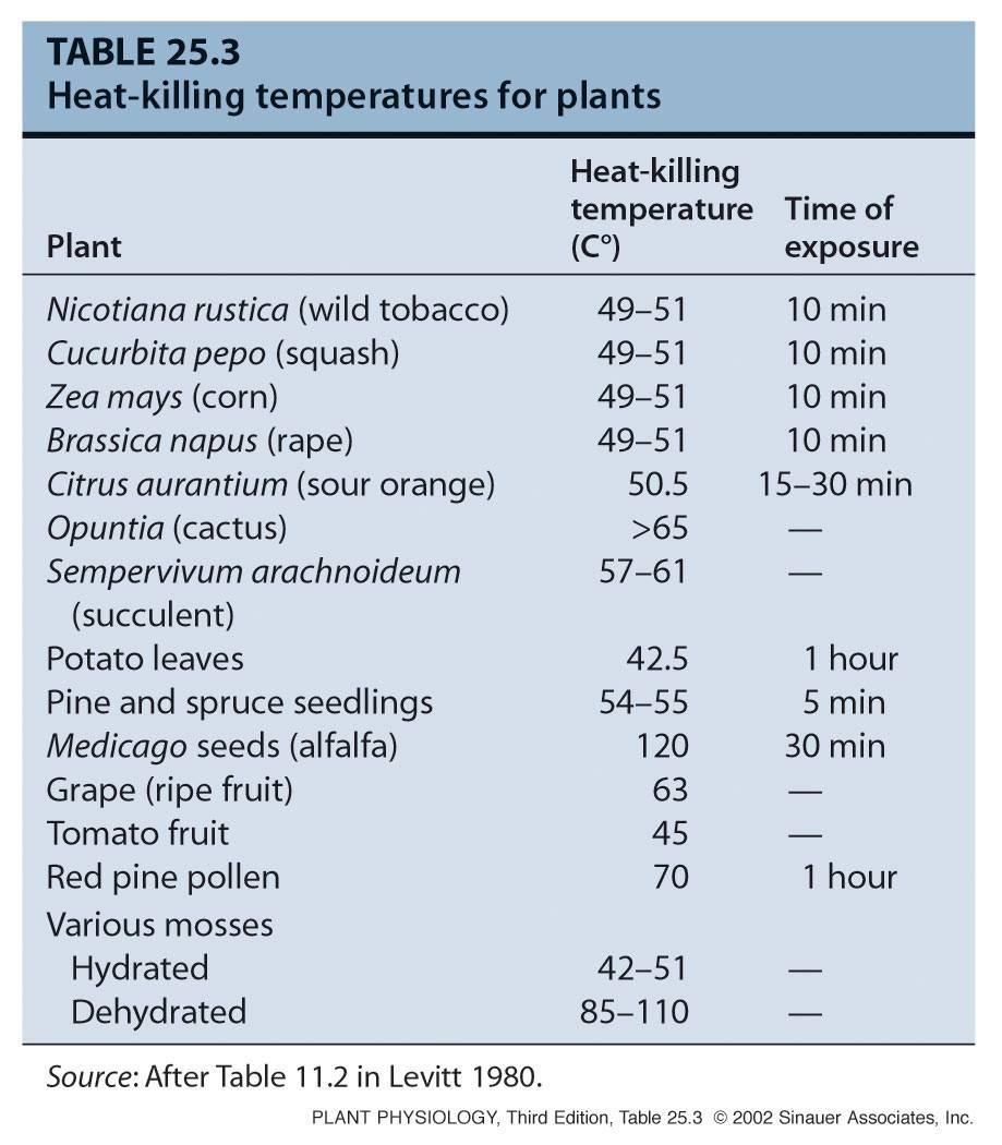 2 f) Tepelný stres a tepelný šok Pletiva se liší ve schopnosti tolerovat teploty: Aktivně rostoucí a hydratovaná pletiva vyšších rostlin: do 45 o C