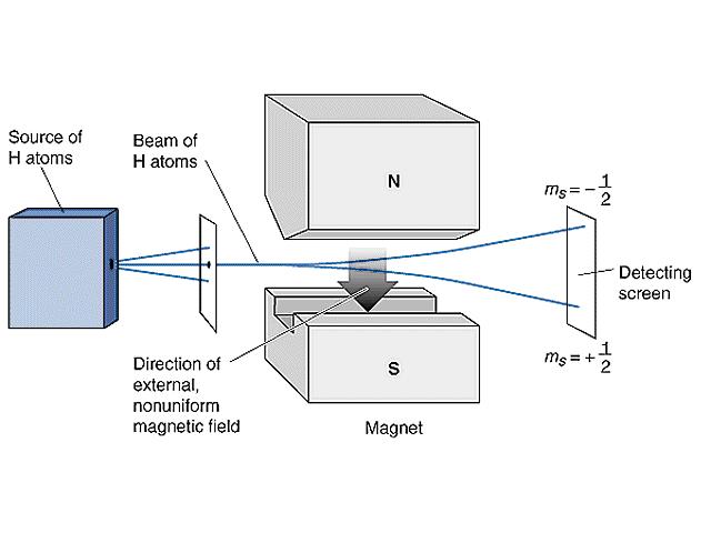 Magnetické spinové kvantové číslo m s