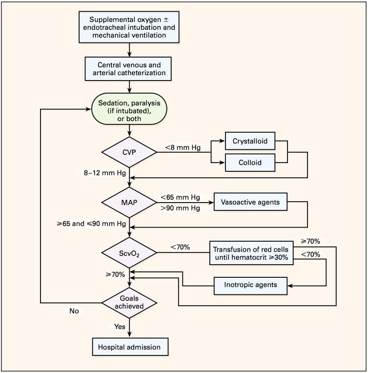 Rivers Protocol ScvO2 Terapie