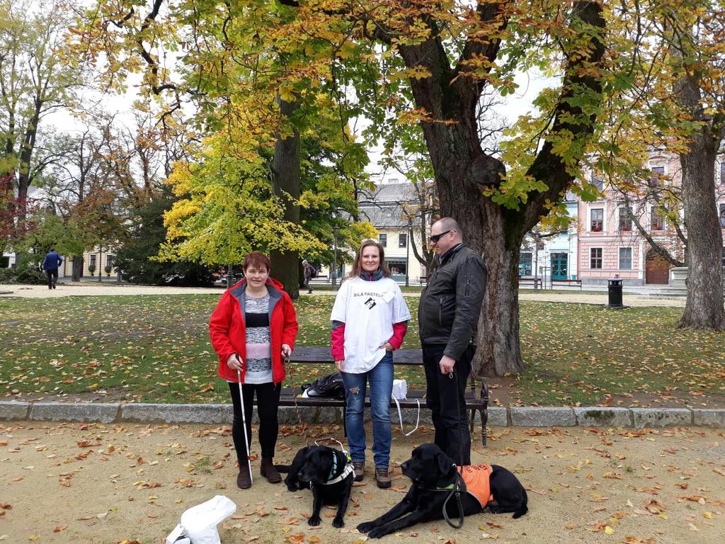 SBÍRKA BÍLÁ PASTELKA Na fotografii zleva paní Lenka Šulerová, paní ředitelka Mgr. Iveta Bělovová Dolejší a pan Robert Kotrba v Novém Městě na Moravě při celostátní sbírce Bílá pastelka.