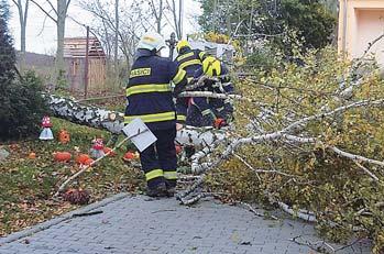 Spadlý strom v MŠ Chýně (viz foto) naštěstí jen rozbil dětem podzimní zahrádku.