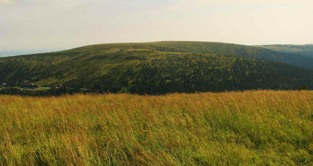 žhnoucí slunce. Chcete-li tuto houževnatou jesenickou faunu a ﬂóru poznat, vydejte se po stopách Světa horských luk. Naučná stezka Světem horských luk vás provede po nejvyšších místech Jeseníků.