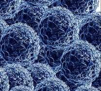 nanočástice (všechny rozměry v