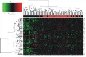 DEREGULATION OF GENES Cord blood Change: 104 genes 37 67 CB Increased expression in CB: genes related to