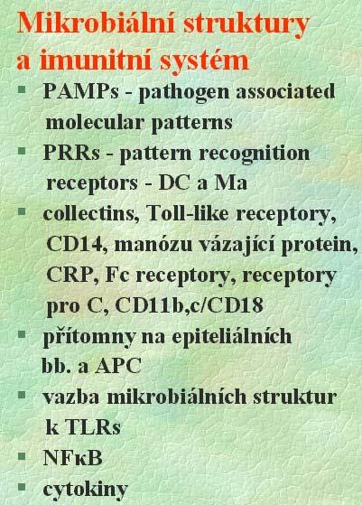 LPS Bakteriální lipopeptidy LBP + CD14 TLR4 TLR6