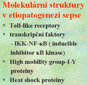 DNA TLR9 TRAF6 NIK Glykoproteiny parazitů IKK 1kB NFkB
