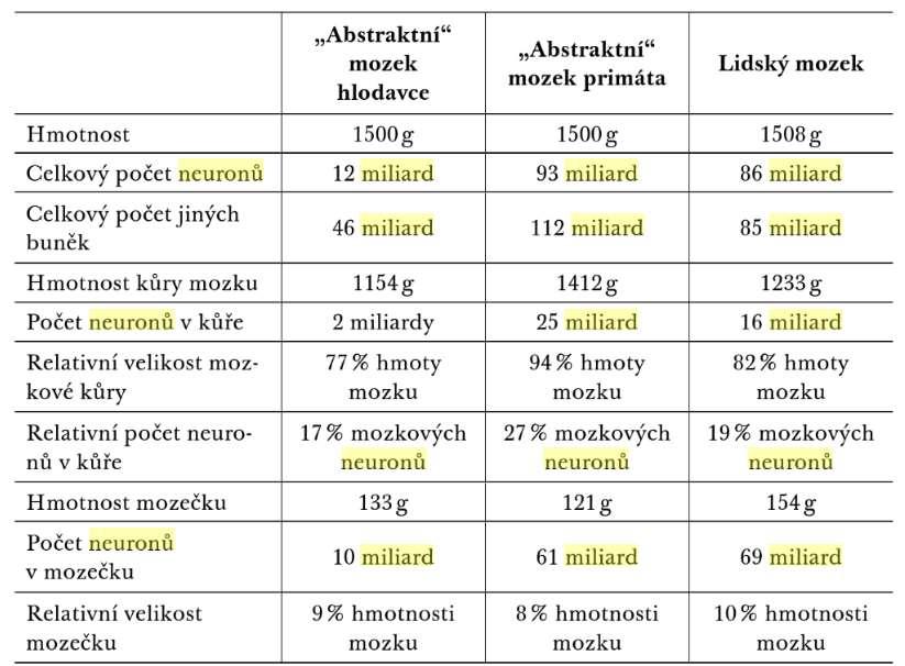 abstraktní