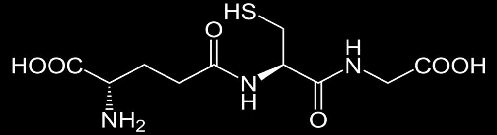 Významné oligopeptidy: Glutathion - GSH tripeptid γ-glu-cys-gly kofaktor