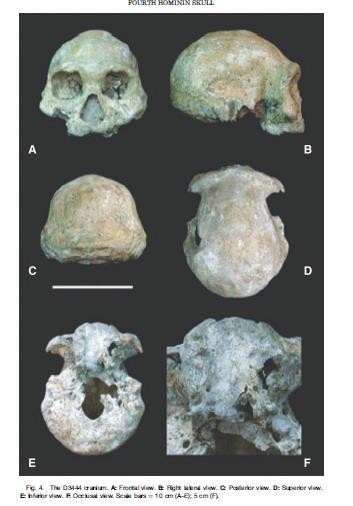 habilis a to již na počátku pleistocénu