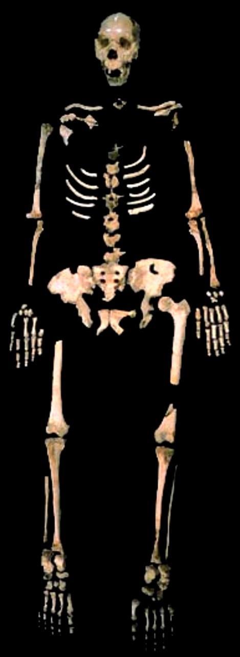 Atapuerca - Sima