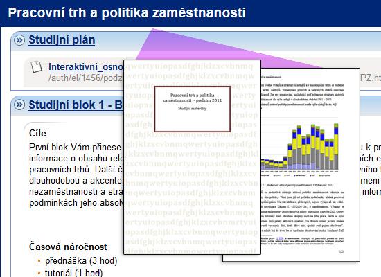 Pracovní trh a politika zaměstnanosti Ing Mirka Wildmannová, PhD http://elportalcz/katalog/esf/mkv_ptpz