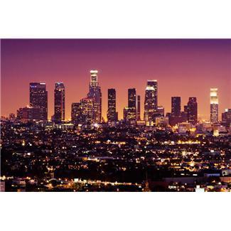 Los Angeles Skyline Do you