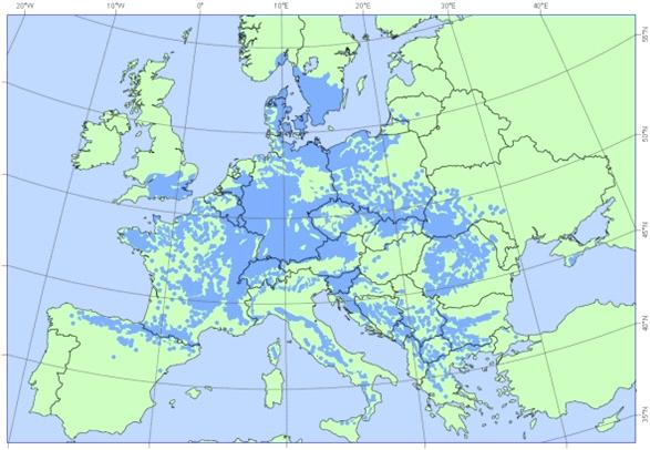 Obr. 1: Rozšíření buku lesního v Evropě (www.euforgen.