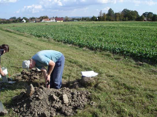 Výroční zpráva o činnosti za rok Kód QH82090 Název Změny půdních vlastností po zatravnění, zalesnění nebo dlouhodobém nevyužívání orné půdy, s dopady na ochranu půdy, vody a krajiny České republiky.
