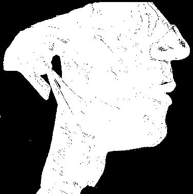 desmopharyngea 7 8 Constrictor inferius IC 8 Pars thyropharyngea 9 9 Pars cricopharyngea SC: raphe