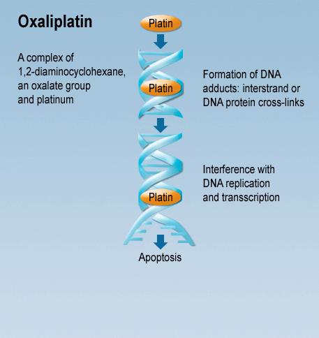 OXALIPLATINA derivát platiny III.