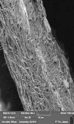 nanofibers in the inner layer