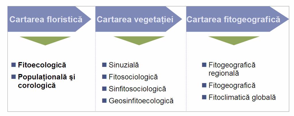 Nevoia abordării, la acest nivel, a determinărilor şi evaluărilor cadastrale, rezultă din valoarea deosebită şi complexă pe care a luat-o, în acest moment de evoluţie a mediului urban, fiecare arbore.