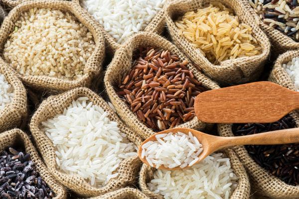 1. fáza ryžovej diéty Počas 1. fázy sa konzumujú iba 3 porcie ryže denne, uvarenej bez soli a tuku.