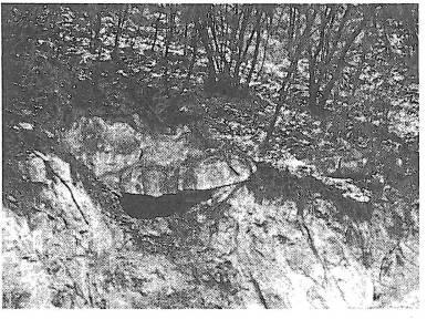 Obr. č. 5 Sv. část odkryvu na jz. okraji Tuchoměřic s jeskyňkou pod bází barového sedimentu polohy 3.